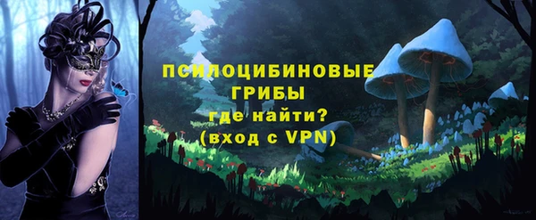МДПВ Каменск-Шахтинский