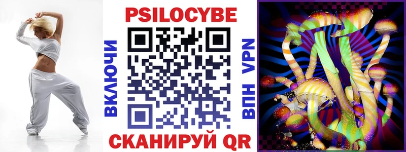Купить где  Железногорск-Илимский  Галлюциногенные грибы GOLDEN TEACHER 